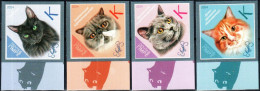 Transnistria 2024 "Breeds Of The Cats" 4v Imperforated Quality:100% - Moldova