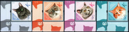 Transnistria 2024 "Breeds Of The Cats" 4v Perforated Quality:100% - Moldova