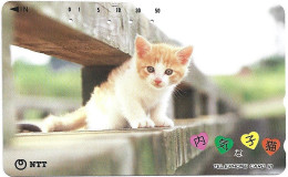 Phonecard - Japan, Kittens 9, N°1165 - Sammlungen