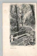 43482658 Isle Of Wight UK Shanklin Chine Isle Of Wight UK - Autres & Non Classés