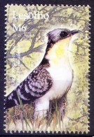 Great Spotted Cuckoo, Birds, Lesotho 2004 MNH - Cuculi, Turaco