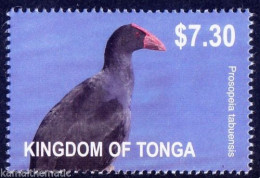 Water Birds, Australasian Swamphen , Kingdom Of Tonga 2012 MNH - Albatrosse & Sturmvögel