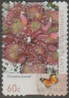 AUSTRALIA - DIE-CUT - USED - 2013 60c Carnivorous Plants - Drosera Lowriei - Used Stamps