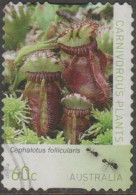 AUSTRALIA - DIE-CUT - USED - 2013 60c Carnivorous Plants - Cephalotus Follicularis - Usati