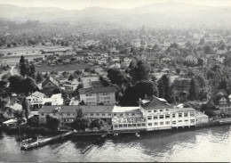 Ref (  18898  )  Bodensee - Ufer - Landau