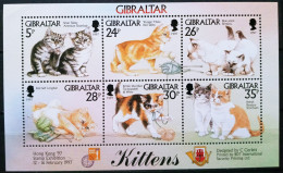 GIBRALTAR - IVERT 792/97 NUEVOS ** - FAUNA DOMESTICA GATOS - Gibraltar