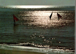 CPM La Planche à Voile - Vela