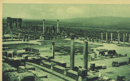 1-DZA05 01 10 - TIMGAD - VUE D'ENSEMBLE DU FORUM - Batna