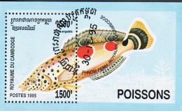 1995. ROUAME DU CAMBODGE. Fisch. Coris Angulata. Block.  (Michel Block 216) - JF542911 - Kambodscha