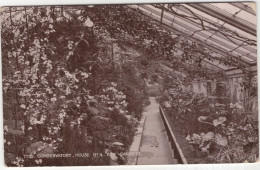 The Conservatory, House No. 4. Kew Gardens - (England, U.K.)  - 1922 - Londres – Suburbios