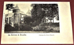 GROOT-BIJGAARDEN - GRAND-BIGARD   -  Het Kasteel  -  Le Château    - - Dilbeek