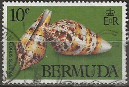 BERMUDA 1982 Sea Shells - 10c Lightbourne’s Cone FU - Bermuda