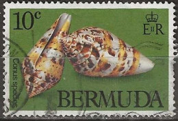 BERMUDA 1982 Sea Shells - 10c Lightbourne’s Cone FU - Bermudas