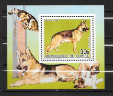 PA - 1985 - N°185**MNH - Chiens, Berger Allemand - 2 - Guinea (1958-...)