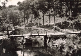 Pont Aven * La Passerelle Du Bois D'amour - Pont Aven