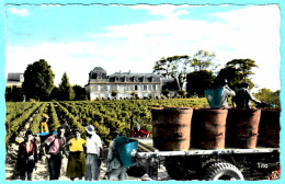 33 - B27325CPSM - PESSAC - Chateau Mission Haut Brion - Vendanges - Très Bon état - GIRONDE - Pessac