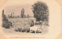 Pyrénées * Les Travaux Des Champs * Un Char De Foin * Agriculture * Attelage De Boeufs * Fenaison - Autres & Non Classés