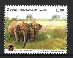 SRI LANKA. N°1619 De 2007. Eléphants. - Olifanten