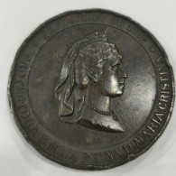 ESPAÑA. MEDALLA. AÑO 1882. MARIA CRISTINA. EXPOSICIÓN DE LA SOCIEDAD MADRILEÑA  PROTECTORA - Monedas Provinciales