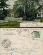 Ansichtskarte Northeim Gesundbrunnen Straßenpartie 1904 - Northeim
