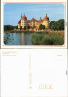Ansichtskarte Moritzburg Kgl. Jagdschloss 1987 - Moritzburg