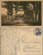 Ansichtskarte Witten (Ruhr) Waldweg Am Hohenstein 1919 - Witten