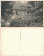 Ansichtskarte Dippoldiswalde Haus Mit Steinterasse Und Menschen 1955 - Dippoldiswalde