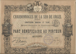 CHARBONNAGES DE LA SEO DE URGEL -BARCELONNE -ESPAGNE - PART BENEFICIAIRE   -ANNEE 1893 - Mijnen