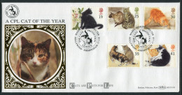 1995 GB Cats First Day Cover, Cats Protection League, Hollywood Birmingham Benham BLCS 101 FDC - 1991-2000 Decimal Issues