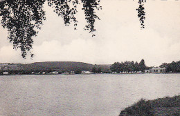 2852	185	Daalgrimbie, Panorama Van De Mooie Vijver Zie De Camping Aan De Overkant.  - Maasmechelen