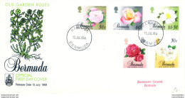 Flora. Rose 1989. FDC. - Bermudes