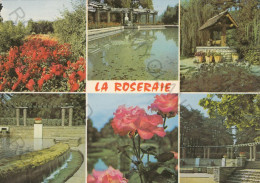 CARTOLINA  C1 LYON,AUVERGNE RHONE-ALPES,FRANCIA-LA ROSERAIE DU PARC DE LA TETE D'OR-VIAGGIATA 1974 - Bourgogne