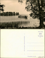 Ansichtskarte Pieskow-Bad Saarow Fahrgastschiff, Am Großen Werl 1962 - Bad Saarow
