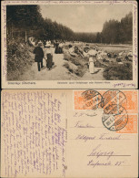 Ansichtskarte Braunlage Gemeinde- (auch Verlobungs- Oder Heirats-) Wiese. 1921 - Braunlage