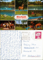 Bocholt (Westfalen) Tierpark (Zoo) Mehrbild-AK 8 Ansichten Tiere 1980 - Bocholt