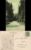 Ansichtskarte Bad Soden (Taunus) Weg Im Kurpark 1913 - Bad Soden
