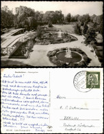 Ansichtskarte Zweibrücken Rosengarten - Fotokarte 1964 - Zweibrücken