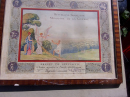 Republique Francaise  Brevet De Specialite Armes Montes Sports Athletiques   1923 ... 35 X 43 Cm - Documenti