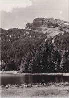 Schwendisee Mit Käserrugg Im Obertoggenburg       Ca. 1960 - Wildhaus-Alt Sankt Johann