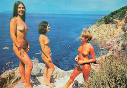 Nu Curiosa * Naturiste Naturisme * Ile Du Levant , Baigneuses , Naturiste * Femme Seins Nus Nude Nue érotique érotisme - Autres & Non Classés