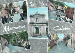 Ch37 Cartolina  Saluti Da Monterosso Calabro Provincia Di Catanzaro Calabria - Catanzaro