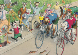 CHATS HUMANISES COURSE DE VELO EDITIONS THE FIFTIES - Gatti