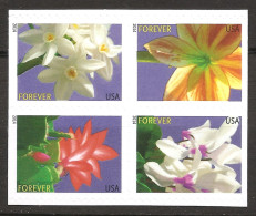 Etats-Unis D'Amérique USA 2014 N° 4684 / 7 X 2 ** Fleurs, Hiver, Amaryllis, Cyclamen, Narcisse Papyracé, Cactus De Noël - Unused Stamps