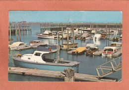 HAMPTON - USA - NEW HAMPSHIRE - THE NEW HAMPTON BEACH MARINA YACHTS BOAT BATEAUX - ECRITE - Altri & Non Classificati