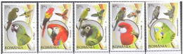 MDB-BK23-121-2 MINT ¤ ROMANIA 2011 5w In Serie ¤ BIRDS OF ROMANIA - OISEAUX BIRDS VOGELS VÖGEL AVES - Papageien