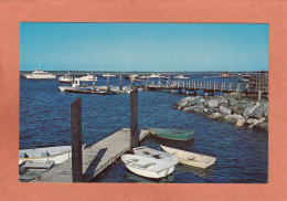 HAMPTON - USA - NEW HAMPSHIRE - HAMPTON BEACH HARBOR YACHTS BOAT BATEAUX - NEUVE - Other & Unclassified