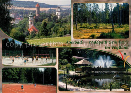 73232499 Auerbach Vogtland Drei Tuerme Tennisplatz Teichlandschaft Waldpark Grue - Auerbach (Vogtland)
