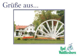 73232355 Bad Waldliesborn Seilscheibe Kurpark Bad Waldliesborn - Lippstadt