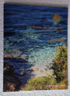 Le Magazine Du Lavandou: Parfums De Lumière été 2016 - Côte D'Azur