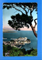Delcampe - MONACO . " LE ROCHER DE MONACO . LA CÔTE D'AZUR - Réf. N°38561 - - Fürstenpalast